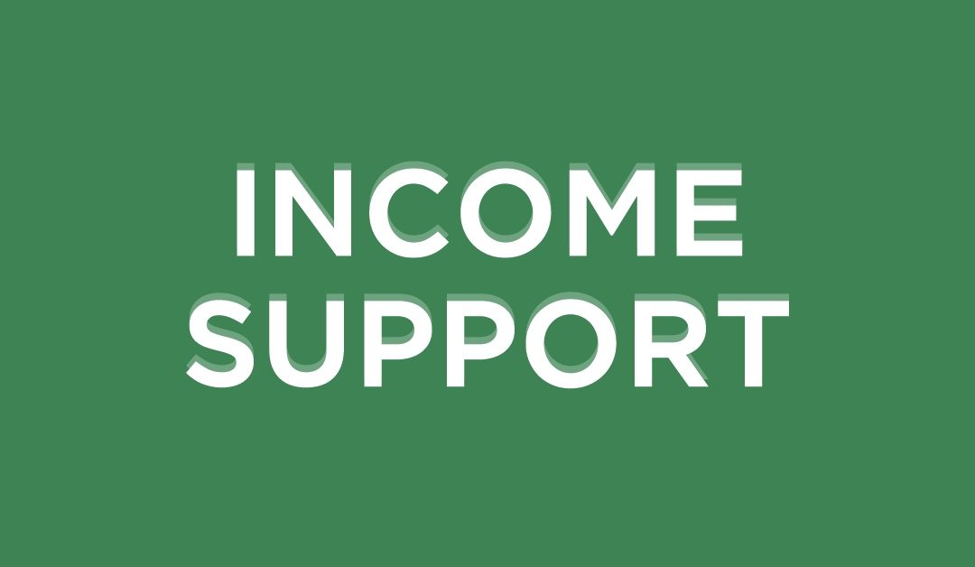 Czym jest Income Support i jakie warunki trzeba spełniać, aby go otrzymać?